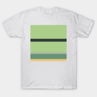 An admirable variety of Greyish, Charcoal, Slate Green, Pale Olive Green and Sand stripes. T-Shirt